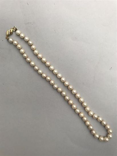 null COLLIER de perles de culture et fermoir en or (750). Poids brut: 38.6 g.