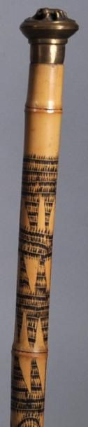  CANNE à pommeau en bronze sommé d'une mygale. Fut en bambou gravé de masques sur...