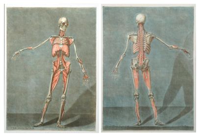 null Deux planches d'anatomie d' après Girardet,1773 Impression couleurs en manière...