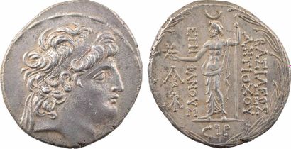 null Syrie, Antiochus VIII, tétradrachme, Damas, 117-116 av. J.-C, A/Anépigraphe,...