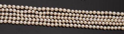 null COLLIER formé de cinq rangs de perles de culture, diamètre entre 5 et 7,5 mm,...
