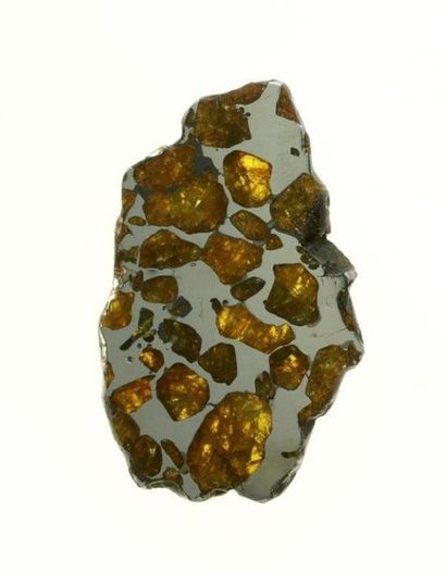 null Superbe Pallasite d'Imilac.

Superbe pallasite découverte dans le désert d'Atacama...