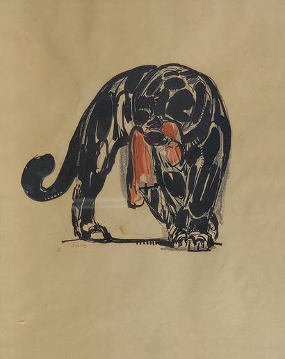 D'après Paul Jouve (1878-1973)

Panthère, gravure sur papier, 30x24 cm Gazette Drouot