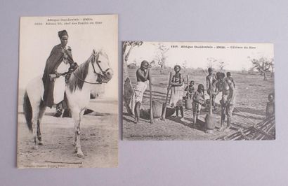 null Lot de cartes 122 cartes postales anciennes des années 1900 et 1910 sur le Sénégal...