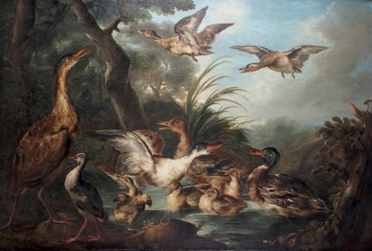 Angelo Maria CRIVELLI (Milan, 1730-?) Canards et volatiles dans une marre Toile....