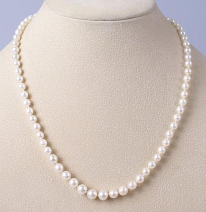 null COLLIER de perles de culture en chute, fermoir or. Long.: 49cm - Diam.: 7 m...