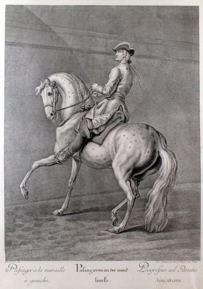 Johann Elias RIDINGER - 1698-1767 PASSAGER À LA MURAILLE À GAUCHE Burin. 60 x 43
