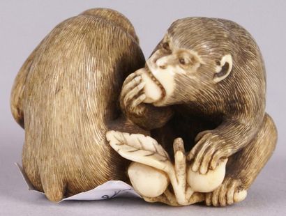 JAPON fin du XIXe siècle Netsuke en ivoire figurant deux singes mangeant des kakis....