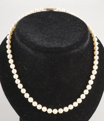 null COLLIER CHOKER composé de 58 perles de culture, fermoir tubulaire en or. Long.:...