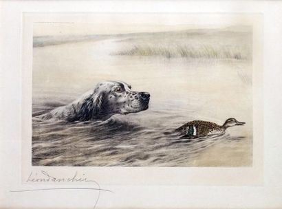 Léon DANCHIN - 1887-1938 LE COLVERT Aquatinte et eau-forte, signée en bas à gauche....