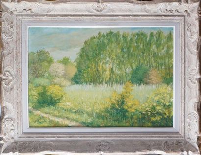 Charles BRUARD, école française du XXe siècle PAYSAGE Huile sur toile signée en bas...