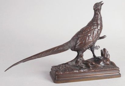Alfred DUBUCAND (1828-1894) LE FAISAN Ancienne épreuve d'édition en bronze à patine...