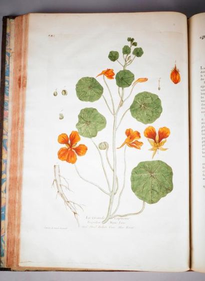 REGNAULT (Nicolas-François) La Botanique mise à la portée de tout le monde, ou Collection...