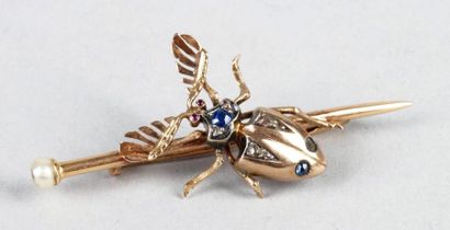 null BROCHE SCARABÉE en or jaune d'époque XIXe siècle sertie d'une perle fine, de...