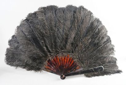 null ÉVENTAIL en plumes d'autruche noire vers 1900, manche en écaille. H.: 38 cm...