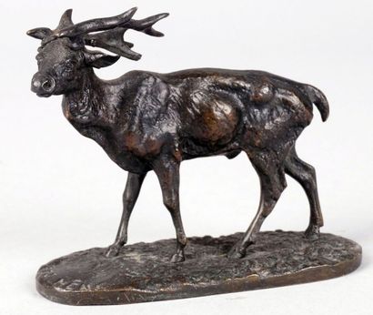 Pierre-Jules MÈNE - 1810-1879 LE CERF Épreuve en bronze à patine noir nuancé brun...