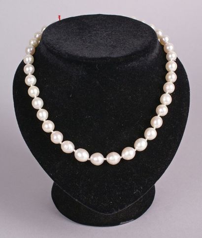 null COLLIER en perles d'Australie en chute.
L.: 45 cm - Diam.: 10 mm