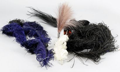 null LOT DE HUIT PLUMES D'AUTRUCHE noires, bleues ou blanches et couronne en plumes...