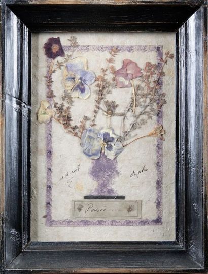 null SUITE DE HUIT FEUILLES D'HERBIER EN TABLEAU: Rose de Noël, pensée, colchique,...