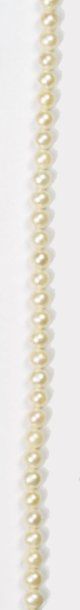 null COLLIER formé d'une ligne de 53 perles de culture, fermoir cylindrique en or....