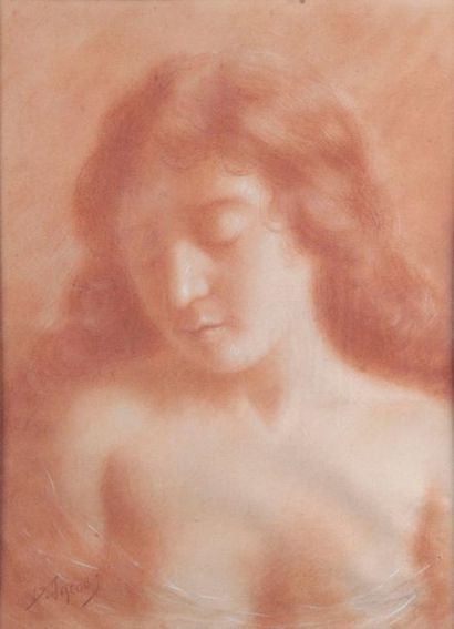 Dieudonné JACOB - 1887-1967 PORTRAIT DE FEMME
Sanguine signée en bas à gauche.
41,5...