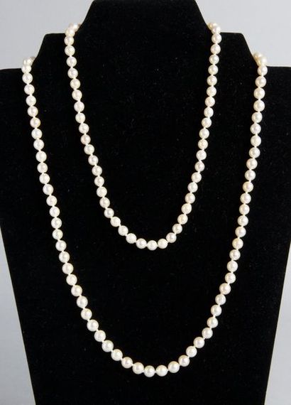 Sautoir CHOKER constitué de cent-quarante-quatre perles de culture.
Poids: 50 g -...