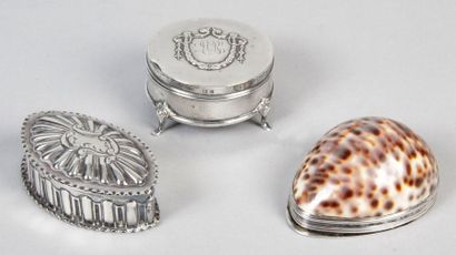 null LOT DE TROIS BOÎTES: 1 - Coquillage cypraea tigris dit «porcelaine» monture...