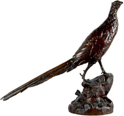 Leon BUREAUD - 1866-1906 FAISAN SUR UN ROCHER
Épreuve en bronze patine mordorée signée.
Ancien...