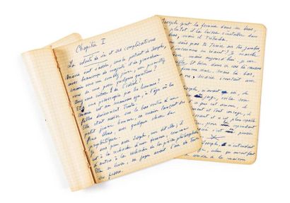 Picabia, Francis 
Manuscrit autographe.
S. l., [vers 1950].
2 cahiers de 14 et 17...