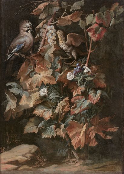  Nicola van HOUBRAKEN Messine, 1660 – Livourne, 1723
Geai et étourneau sur un pied... Gazette Drouot