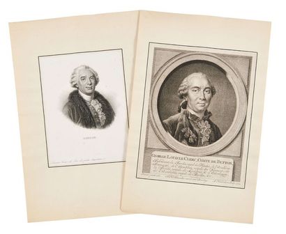 GEORGES LOUIS LECLERC, COMTE DE BUFFON (1707-1788) Lettre autographe signée à Gilles-Germain...
