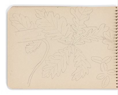 Henri MATISSE (1869-1954) Ensemble de 33 dessins - 1930
Mine de plomb sur papier

Dans...