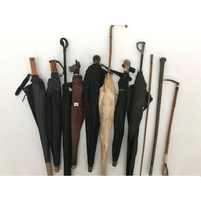 null COLLECTION of 8 umbrella umbrellas and 3 whips. 