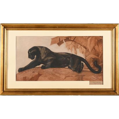 null CARTIER Jacques. "Black panther on the prowl". Engraving signed. H.46 L.78.