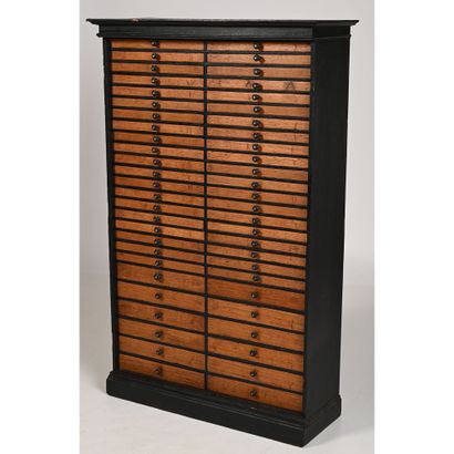 null MEDAILLER CABINET in black patinated wood with 2 rows of drawers with small...