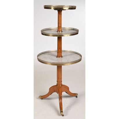 null LOUIS XVI SERVING FURNITURE based on a CANABAS model in mahogany with a central...