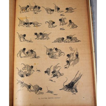 null Steinlen, des chats, dessins sans paroles, P., Eernest Flammarion, 1898, in-folio,...