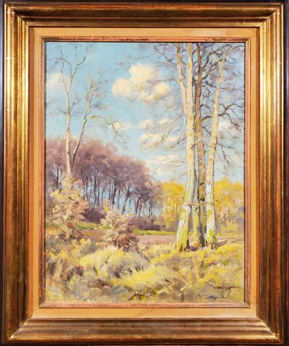null Auguste KESSLER (1890-1980)
"Wooded landscape
Oil on panel
Signed lower right...