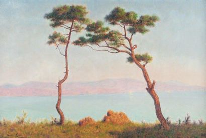 Maurice CHABAS (1862-1947) Paysage aux grands pins. Huile sur toile. Signée en bas...