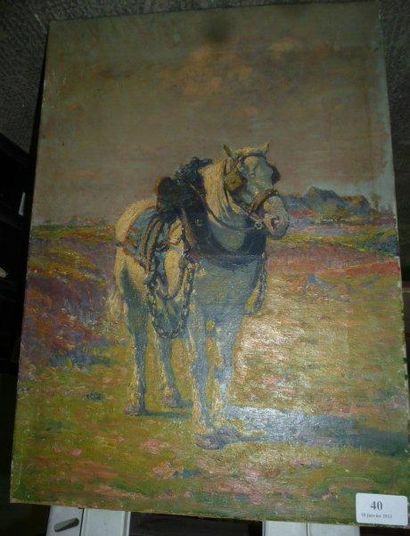 Henri C. RENARD-BRAULT (1859-?) Portrait d'un cheval. Huile sur toile. Signée en...
