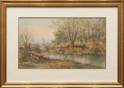 Émile HENRY (1842-1920) Canards en bord de rivière. Aquarelle. Signée en bas à gauche....