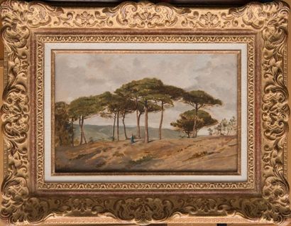 Emile LOUBON (1809-1863) Paysage aux grands pins. Huile sur carton. Signée en bas...