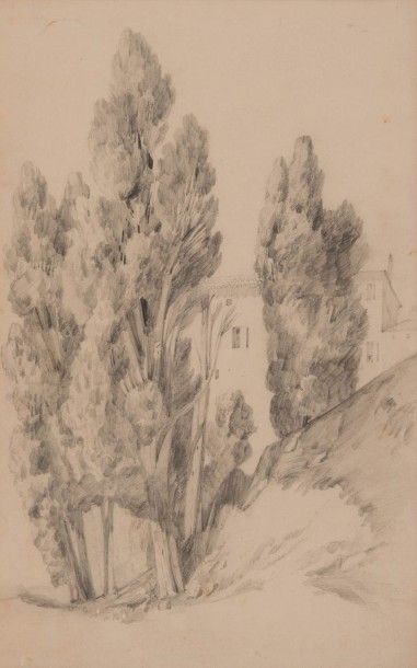 Vincent COURDOUAN (1810-1893) Paysage aux grands arbres. Mine de plomb. Monogrammée...