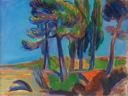 null Antoine SERRA (1908-1995)

Provence. Circa 1947.

Huile sur toile.

Signée en...