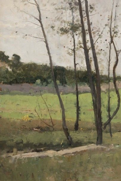 null Émile GIRAUD (1850-1918)

Paysage aux arbres.

Huile sur toile.

Signée en bas...