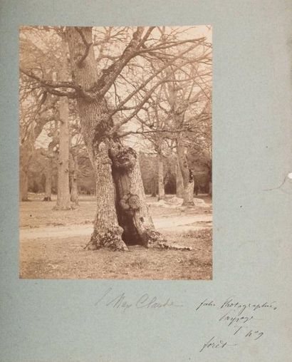 null Charles FAMIN (1827-1888)

Etude d’arbres à Fontainebleau. c.1870

Tirage albuminé...