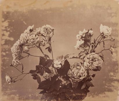 null Adolphe BRAUN (1812-1877)

Bouquet de fleurs, c.1855

Tirage albuminé monté...