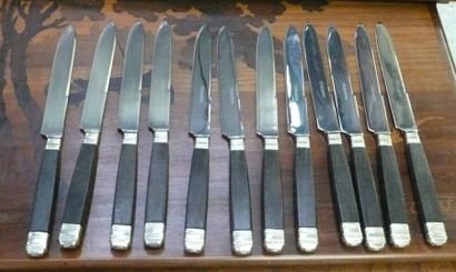 Maison Chabanne. Ensemble de 12 couteaux de table à manche en ébène.