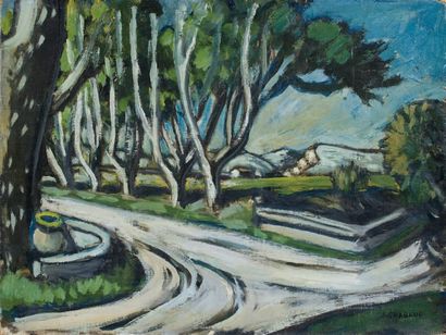 - Auguste CHABAUD (1882-1955) Route aux grands arbres. Huile sur toile. Signée en...