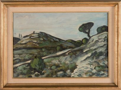 null Auguste CHABAUD (1882-1955)

Chemin entre les montagnettes.

Huile sur carton.

Signée...